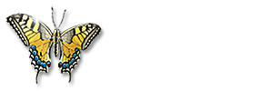 labalaba logo breed wit